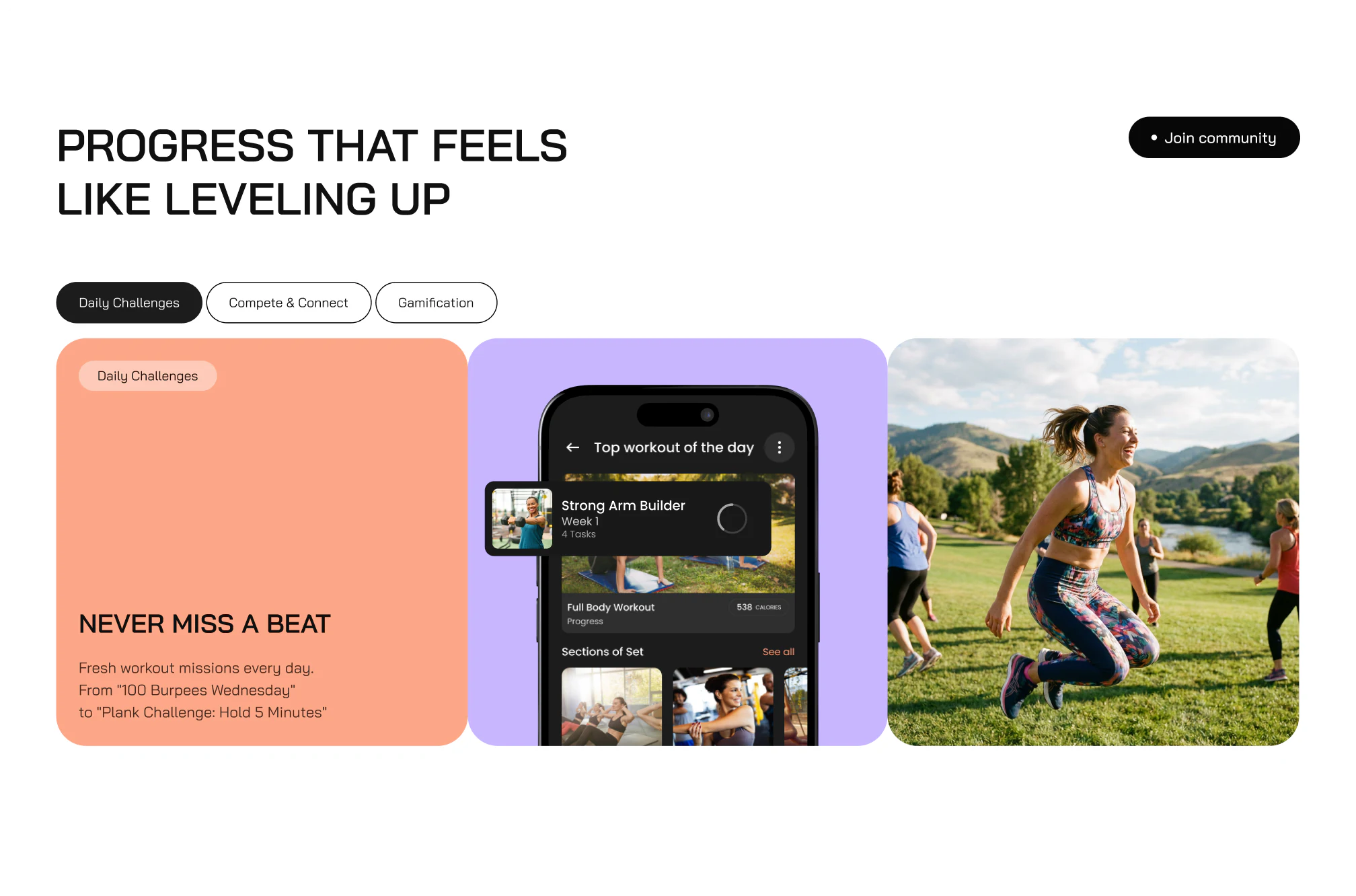 FitBurst image